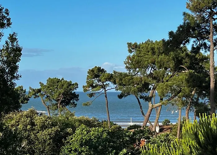 Cote Plage Nauzan Vue Mer